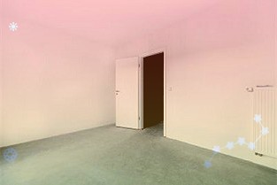 毕马威专家：海南自贸港助力新能源汽车行业培育世界级品牌